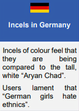 nigcel incel niggers