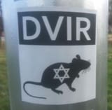 dvir jew rat