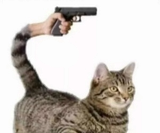 1729145543715424