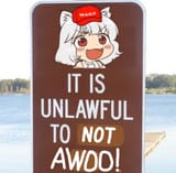 awoo law