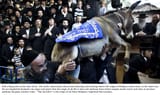 jewish_donkey_animal_sacrifice_as_a_culpability_soak_for_sin_and_crime_in_edomite_legal_ceremony