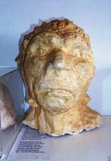 Macedonian_Museums-91-Anthrvpologiko_Petralona-410
