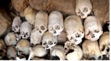 long skulls peru gentiles. 1