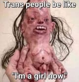 transfreaks
