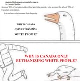 canada-maid-whites-only