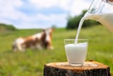 AdobeStock_354060824-1536x1024