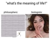 7894949461d