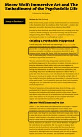 Meow-Wolf-psychedelic-art