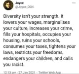 Diversity is a WEAKNESS