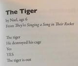 poem-the-tiger-by-nael-age-6-v0-68enaytw0fka1