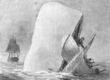 moby_dick_destroying__harpoon_boat1309841366624396770
