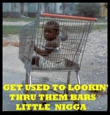 Get_used_to_looking_thru_them_bars