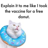 Have a (you)