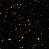 1751033606931977