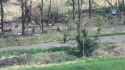 2025-07-21__madyar_edit_thumb.jpg