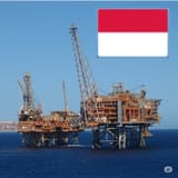 polakoil