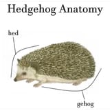 1706280340313968