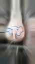 hoholphant__thumb.jpg