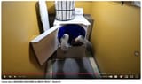 meow_wolf_washing_machine