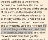 genesis3-15