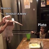 bee hole a mam