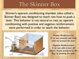 skinner box