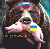 Bear Piglet Winning