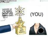 winner-of-the-golden-snowflake-award
