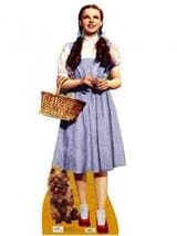 images (10)