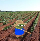frog_happy