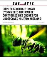 Screenshot 2025-07-22 at 09-31-49 Chinese Scientists Create Cyborg Bees That Can Be Controlled Like Drones for Undercover Military Missions