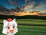 Summer morning