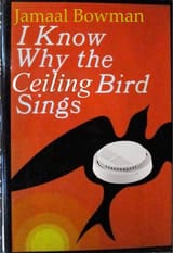 chirp-book