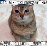 1721362479650