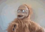 lucy-orangutan