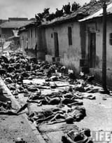 Bengal famine 1943 India 2