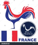 stock-vector-france-rooster-logo-abstract-france-elements-on-white-background-isolated-rooster-on-white-224210959-1227963687