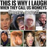 white apes