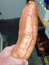 left-leaning dick-tater