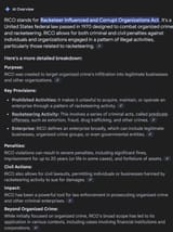 Screenshot 2025-07-22 at 12-48-50 rico - Google Search