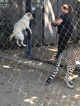 IMG_0978 (2)