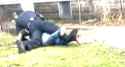 be playing on grass get shot_thumb.jpg
