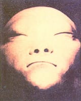 fournostrils