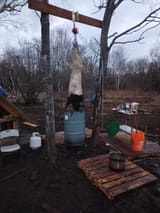 1749535094219367