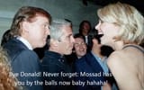 mossaded_don