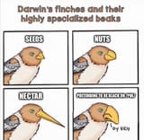 1725596981507173