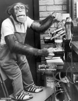 gettyimages-612271914-612x612