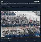 China fishing everything
