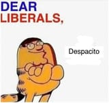 1620183445992