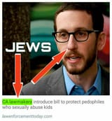 Pedophile lawmaker jew